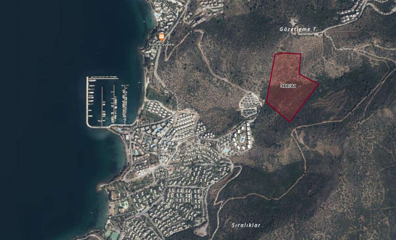 Denize Sıfır Zeytinlikler Kiraya Veriliyor: Aydın Vakıflar 86 Taşınmaz İçin İhaleye Çıkıyor 6